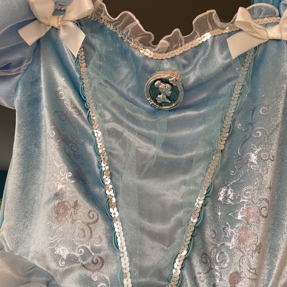 Cinderella Costume Dress - Picture 4 of 6